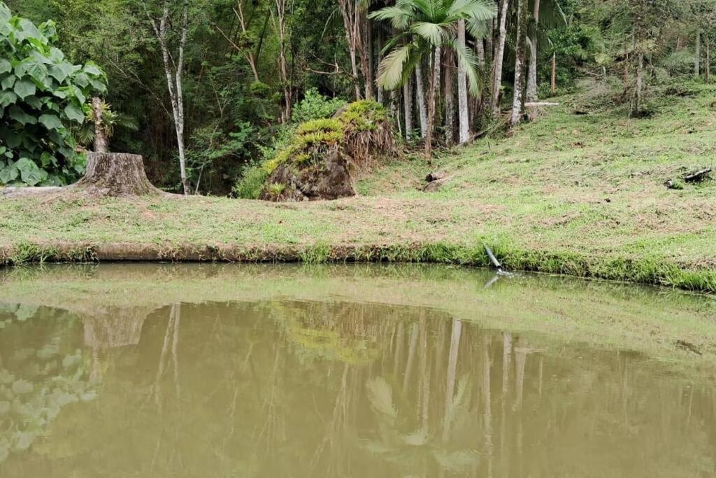 Sitio Som Das Aguas Benedito Novo Eksteriør billede