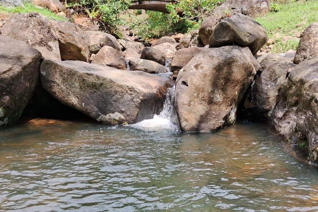 Sitio Som Das Aguas Benedito Novo Eksteriør billede