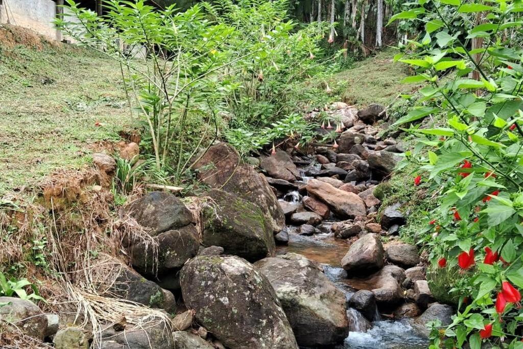 Sitio Som Das Aguas Benedito Novo Eksteriør billede